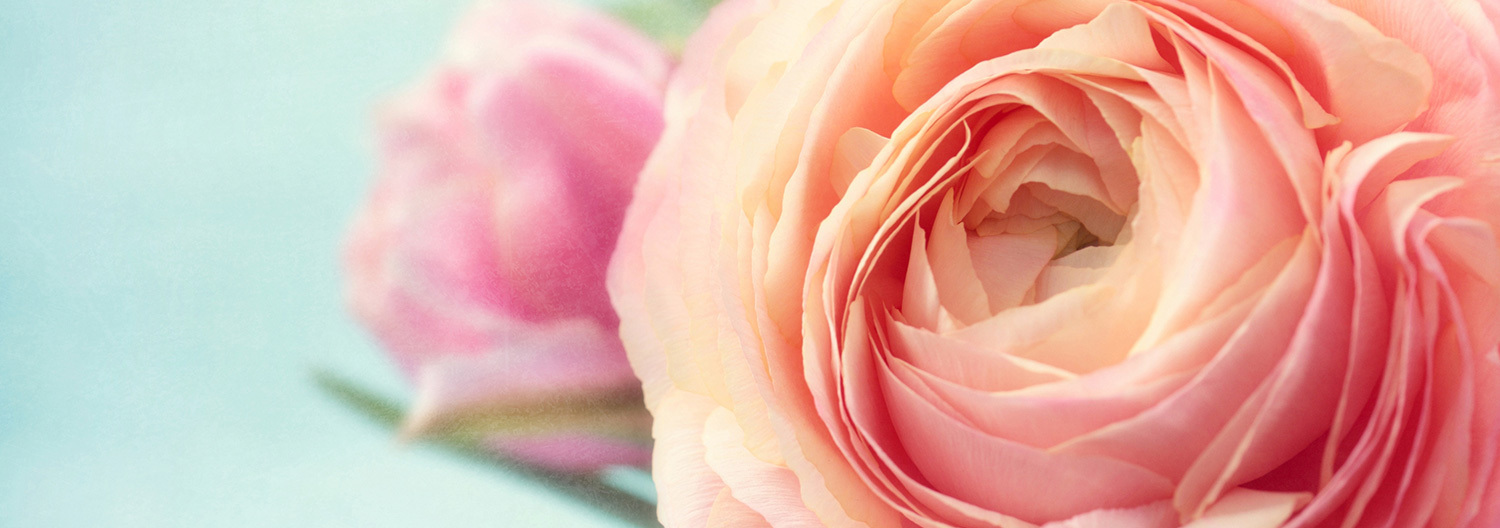 Венелина Стоянова : Грижата за зъбите е много важна и въпреки, че всички осъзнаваме това, всеки път ходенето на зъболекар предизвиква смесени чувства от малко страх и притеснение. Това обаче веднага изчезва, когато попаднеш на подходящото място и на добър специалист. За мен това е д-р Доротея Митова-Коева. Категорично мога да кажа, че това е моят зъболекар. Професионализъм, коректност, точност и най-вече топло отношение и внимание към детайлите. Когато всичко това е на лице, изчезва притеснението и страхът от зъболекаря. Вече почти три години се доверявам именно на нея и неколкократно съм я препоръчвала на мои познати, които са ми били благодарни след това. Освен добрия професионализъм, отношението е най-важното нещо, затова горещо препоръчвам услугите на д-р Доротея Митова-Коева.ʻʻ 